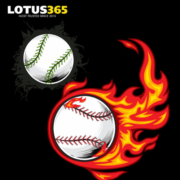Lotus365 Win