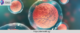 Benefits of Stem Cell Therapy in Singapore