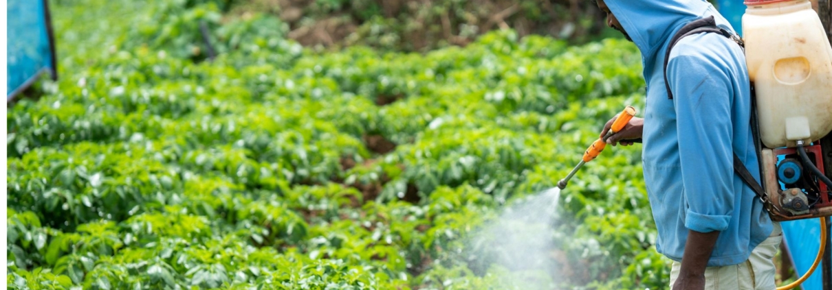 Malaysia Fertilizer Market