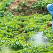 Malaysia Fertilizer Market