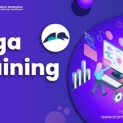 Pega Training