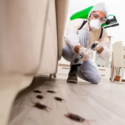 Pest Control Islamabad