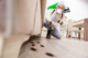 Pest Control Islamabad