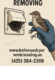 Pets And Bird Removing in Bellevue (1)