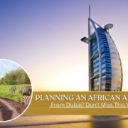 South Africa Visa from Dubai