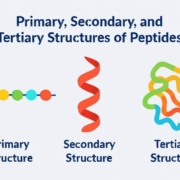 Primary, Secondary, and Tertiary Structures of Peptides