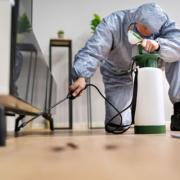 Pest Control Services in Dumfries and Ayrshire