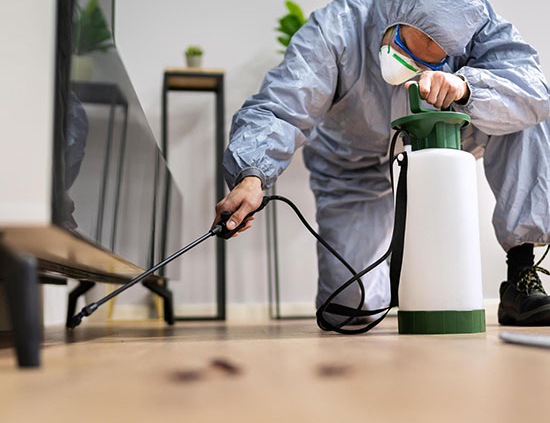 Safe pest control treatment in a residential property in Inverclyde
