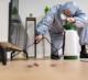 Safe pest control treatment in a residential property in Inverclyde
