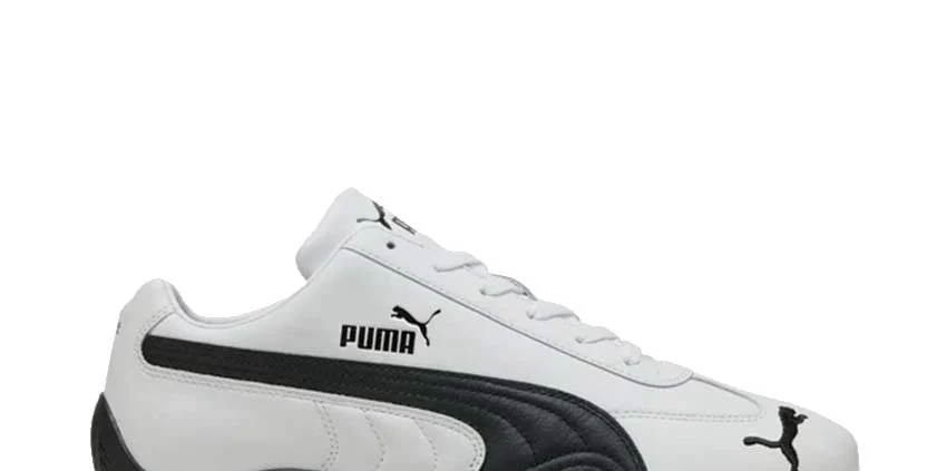 https://pandadunksofficial.us/puma-speedcat-leather-white/