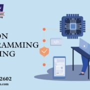 Python Programming