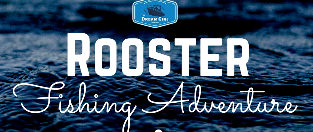 rooster fishing in Costa Rica