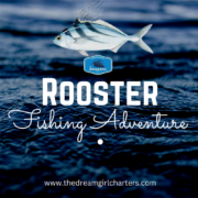rooster fishing in Costa Rica