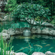 pond pump