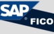 SAP FICO