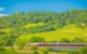 Scenic Train Journeys Across Spain