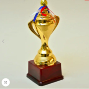 Buy Corporate Awards and Trophies
