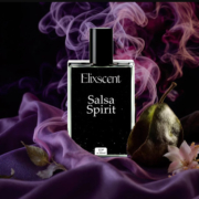 salsa spirit