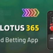 Lotto 365 Guide: Easy Lotus365 Login and Lotas Tips