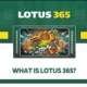 Lotus 365: A Complete Guide to Lotus 365 Login and Betting Experience