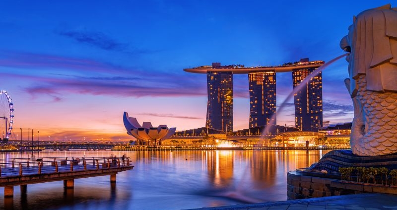 Night Safari Singapore
