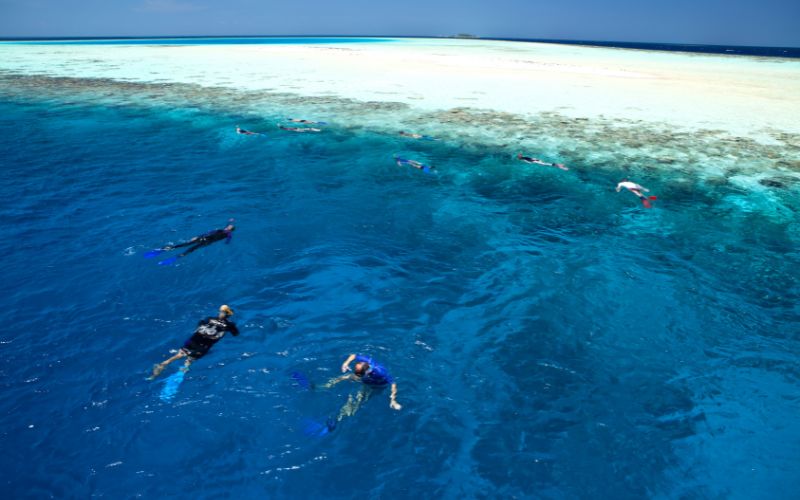 Travel Tips for Exploring Zanzibar