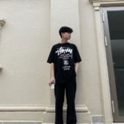 Camiseta Stussy