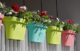 Styling Your Outdoor Space with Durable Plastic Garden Planters