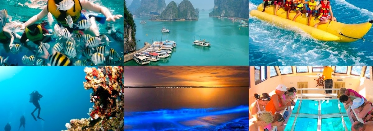 Things to fo in Andaman
