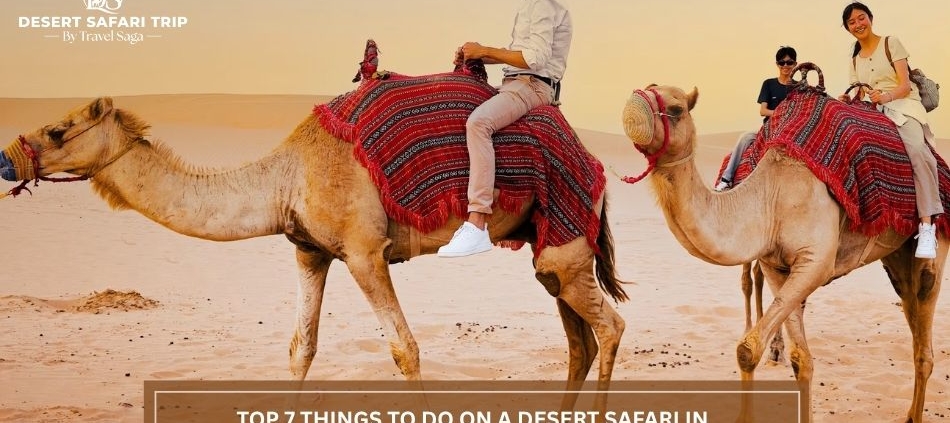 Desert Safari Abu Dhabi, Evening Desert Safari,