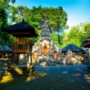 Things to Do in Bali Indonesia