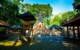 Things to Do in Bali Indonesia