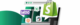 Shopify Alternative