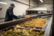 Vegetable Dehydration Processing Plant