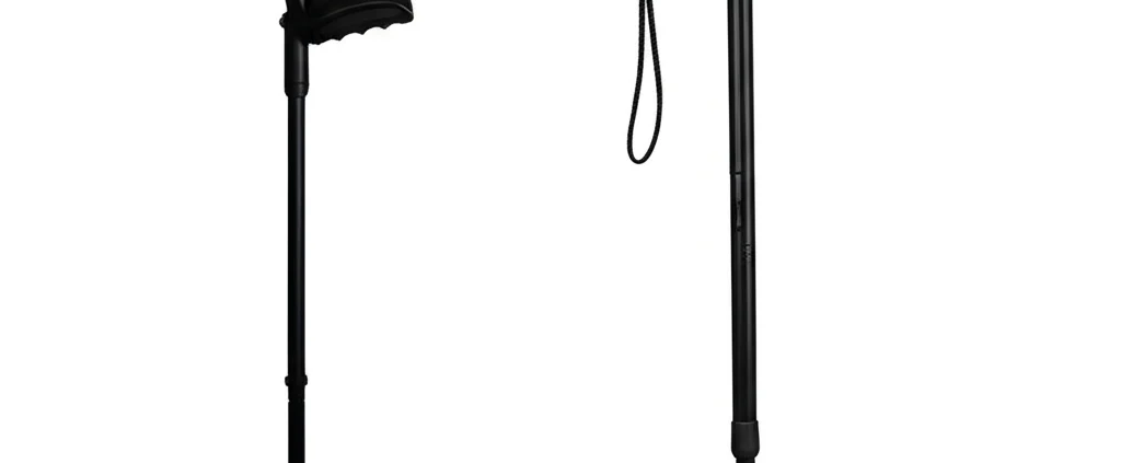 walking stick