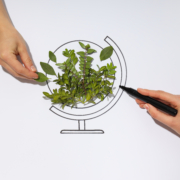 Circular Carbon Economy: The Future of Sustainable Carbon Management