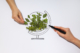 Circular Carbon Economy: The Future of Sustainable Carbon Management