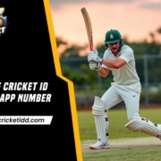 online cricket id whatsapp number