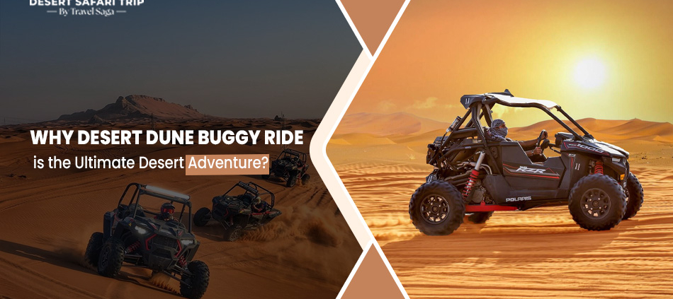 Desert Dune Buggy Ride