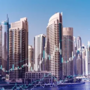 Roots Realty