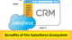 Salesforce Certification Course