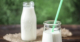 How important is it to source organic milk in Chennai for those with allergies?