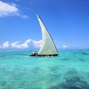 Travel Tips for Exploring Zanzibar