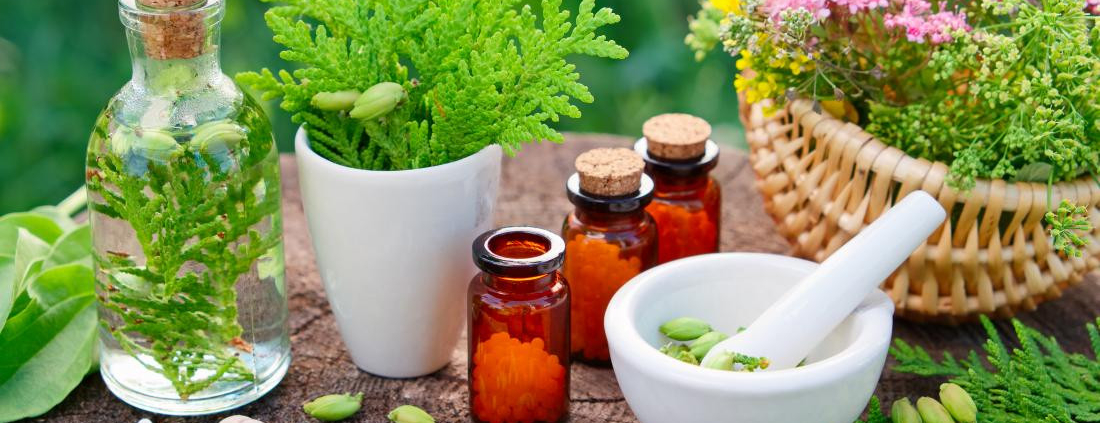 Phytolacca Berry Uses in Hindi