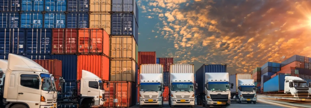 Exploring Air Cargo Shipping Options in the USA