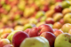 Apple Juice Market