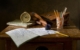 assignment-expert