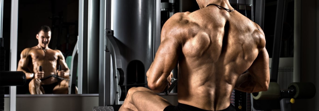 bodybuilding communities