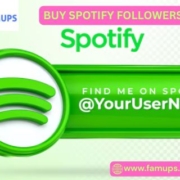 Buy Spotify Followers