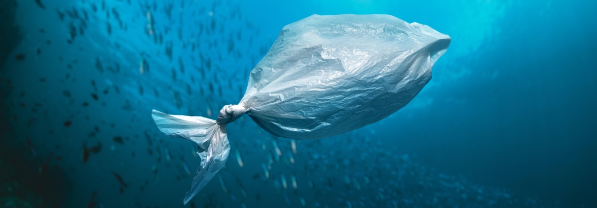 bioplastics